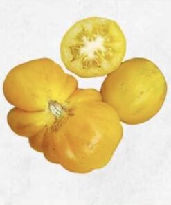 Semilla Tomate Amarillo Andino