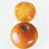 Semilla Tomate Atardecer Semilla Tomate Atardecer