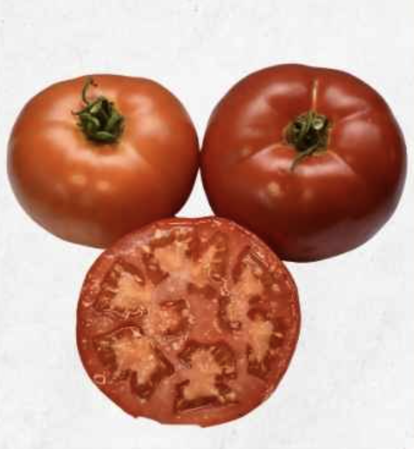 Semilla Tomate Cuadrado Semilla Tomate Cuadrado