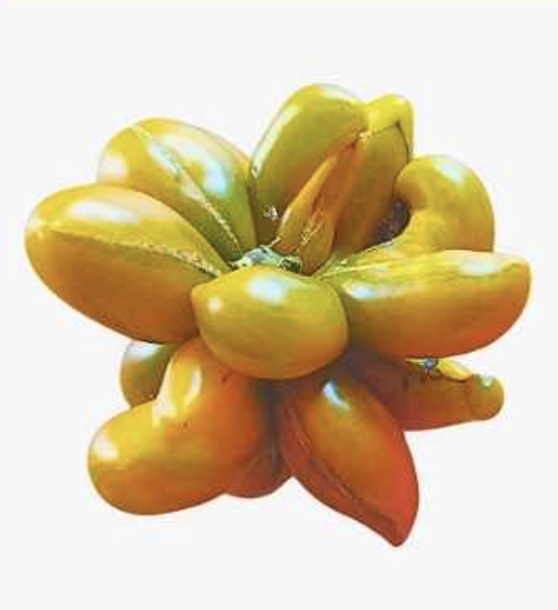 Semilla Tomate Gajo Naranjo Semilla Tomate Gajo Naranjo