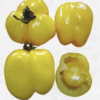 Semilla Tomate Morron Amarillo Semilla Tomate Morron Amarillo