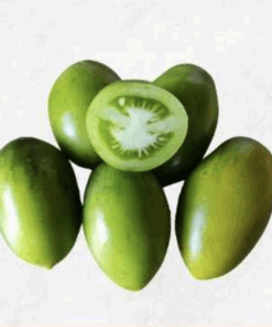 Semilla Tomate Palton