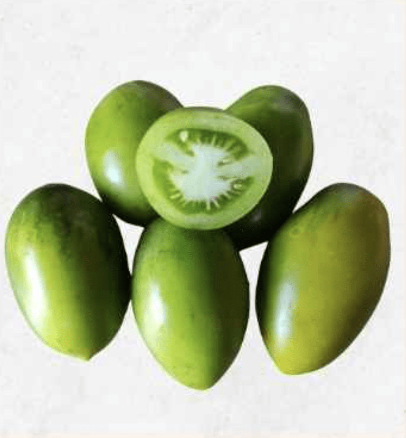 Semilla Tomate Palton Semilla Tomate Palton