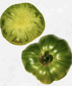 Semilla Tomate Verde Gigante