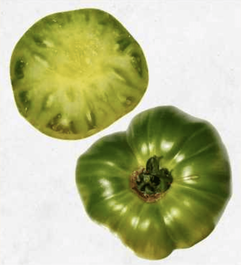 Semilla Tomate Verde Gigante Semilla Tomate Verde Gigante