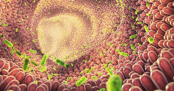 Microbiota Intestinal 1