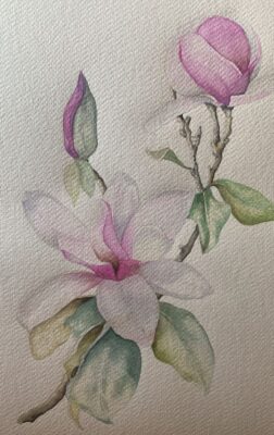 Acuarela 2 e1772053413393