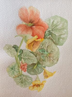 Acuarela 4 e1772053489844